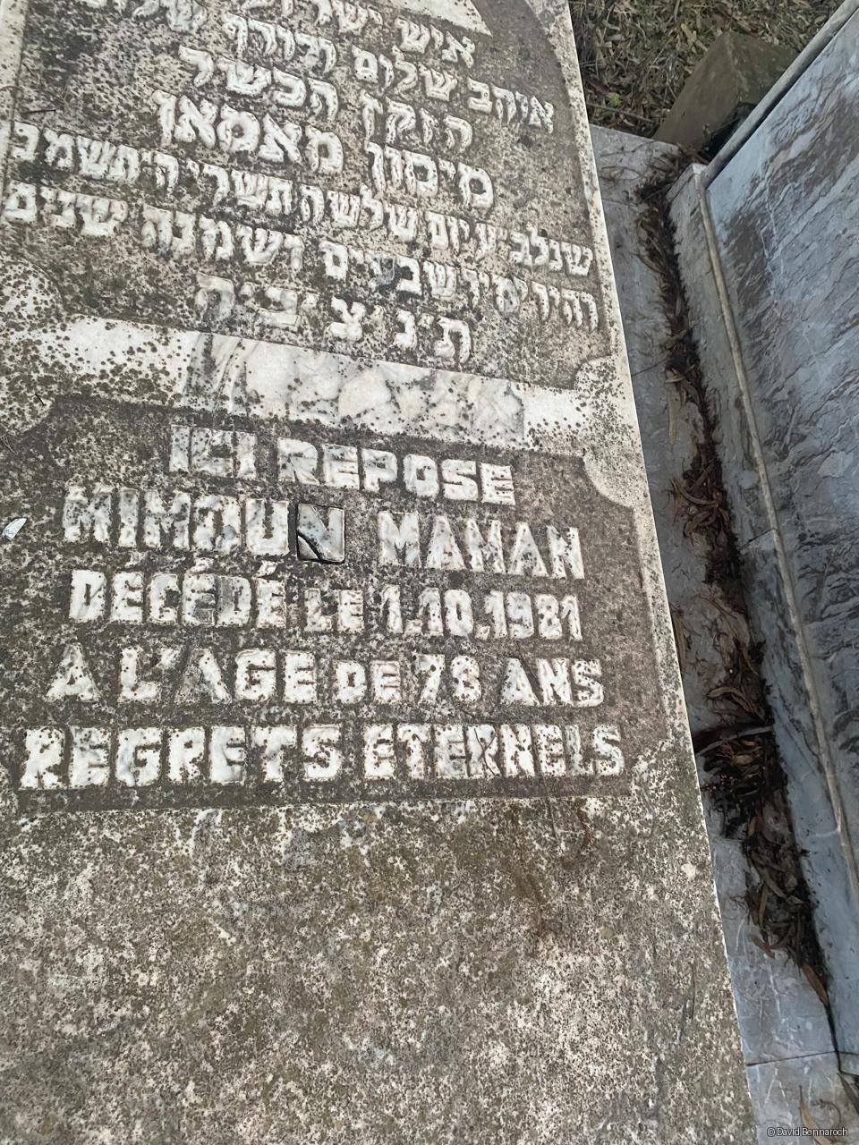 Mimoun Maman, Kenitra