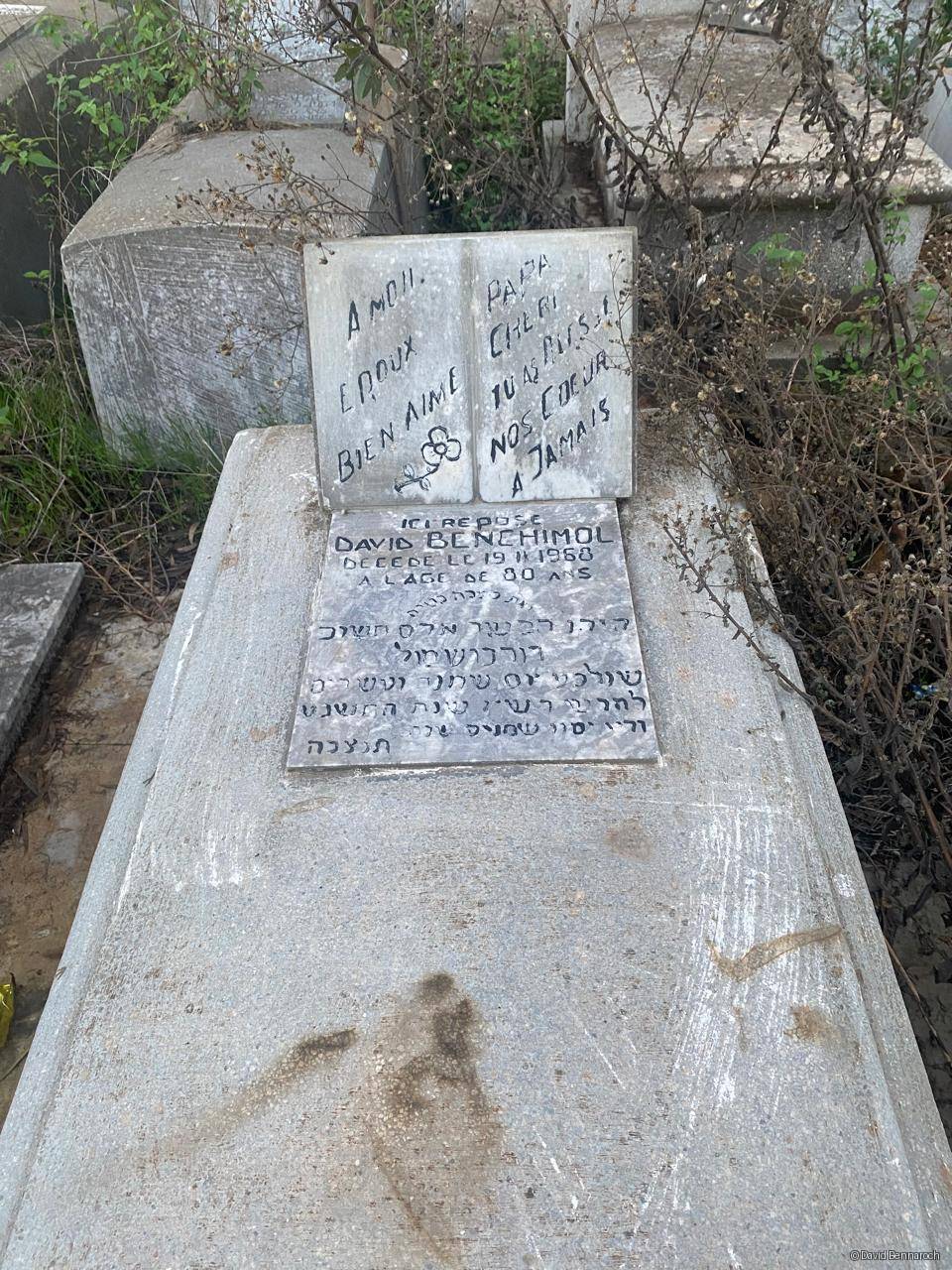 David Benchimol, Kenitra