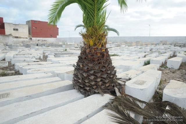 maroc el jadida cimetiere juif tombe ZBL 9678 (58)