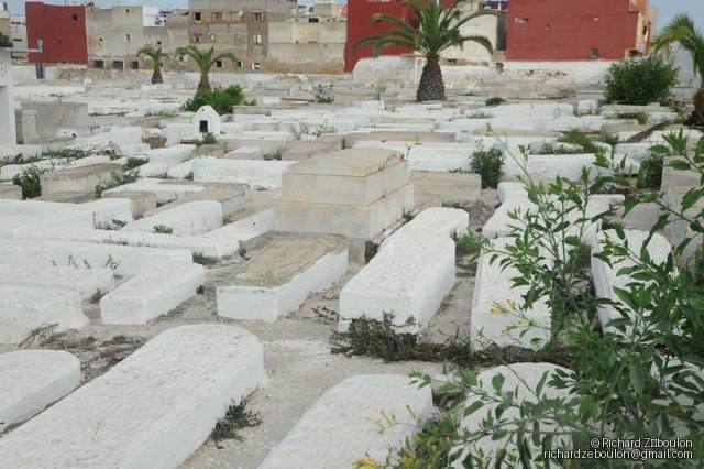 maroc el jadida cimetiere juif tombes ZBL 9678 (167)