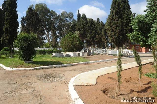 maroc kenitra cimetiere juif tombes ZBL 0637 (16)