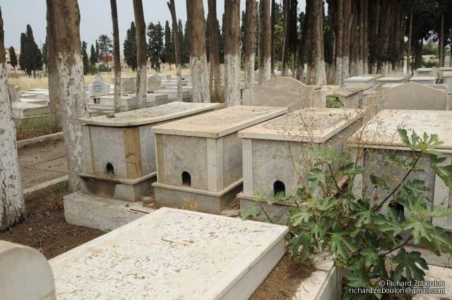 maroc meknes cimetiere juif tombes ZBL 8228 (249)
