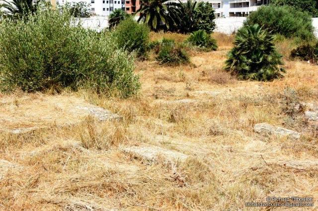 maroc sale cimetiere juif tombes ZBL 4773 (38)