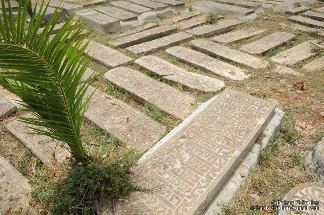 maroc sale cimetiere juif tombes ZBL 8777 (126)