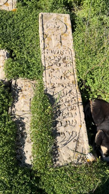 Tombe de mme yehiel Yoliel de 1867 תרכח